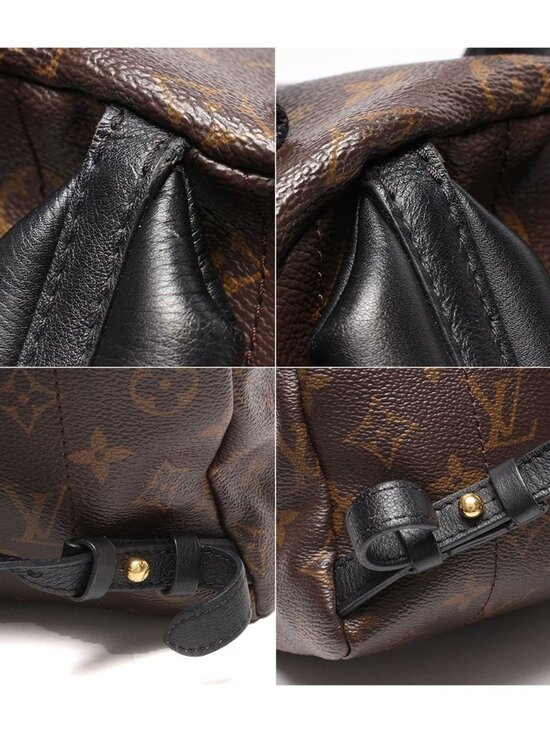 Louis Vuitton Backpack Palm Springs PM Monogram main image 5